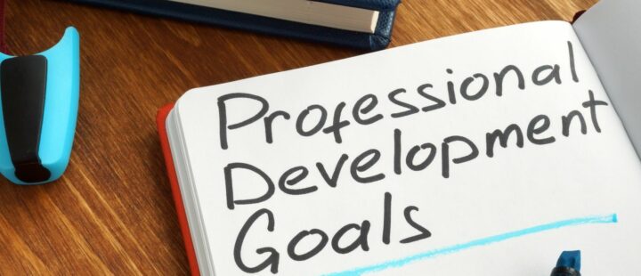 Personal Professional Development